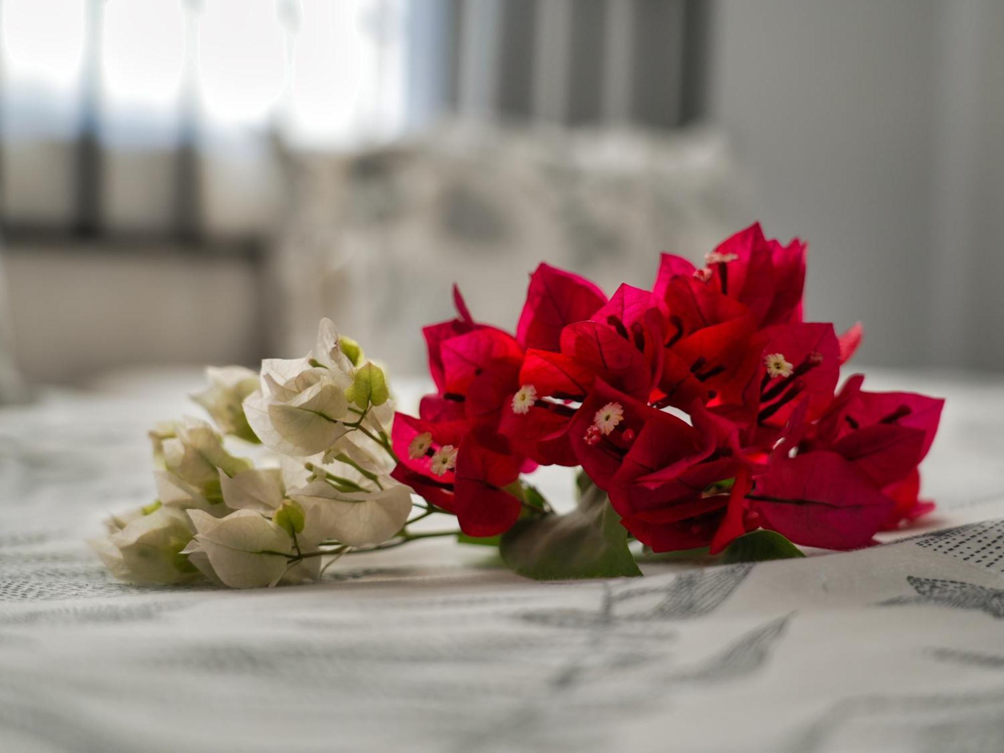 Golentle Home Stay Маун Стая снимка